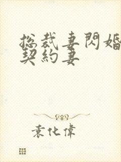 总裁妻闪婚总裁契约妻