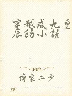 穿越成九皇子路辰的小说