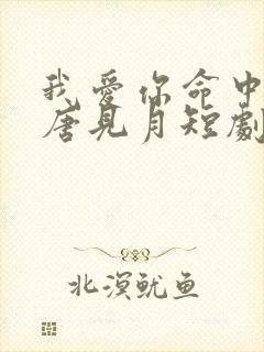 我爱你命中注定唐见月短剧