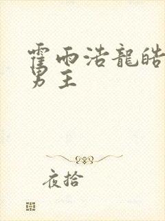 霍雨浩龙皓晨双男主