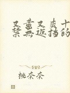 又黄又爽十八岁禁无遮挡的网站