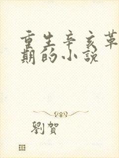 重生辛亥革命时期的小说