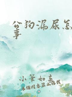 公狗漏尿怎么回事