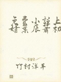 免费小说上门龙婿叶辰萧初然