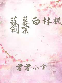 苏慕白林枫神霄剑宗