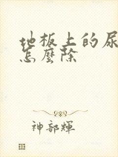 地板上的尿骚味怎么除