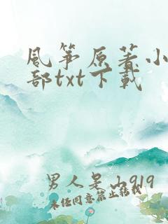 风筝原著小说全部txt下载