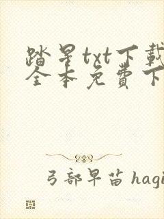 踏星txt下载全本免费下载