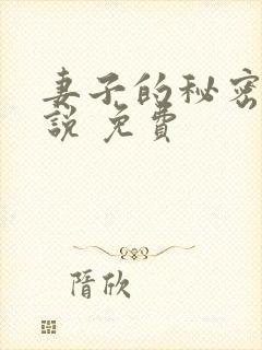 妻子的秘密 小说 免费