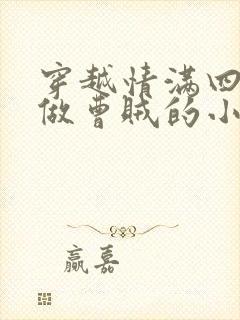 穿越情满四合院做曹贼的小说