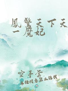 凤惊天下天才第一魔妃