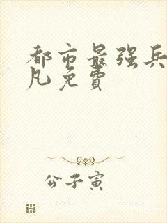 都市最强兵王叶凡免费