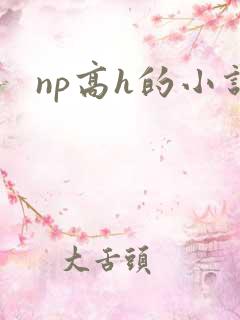 np高h的小说