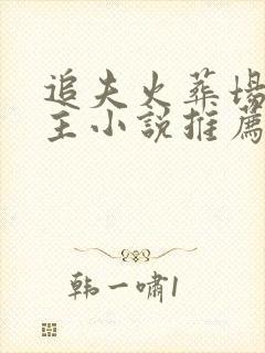 追夫火葬场双男主小说推荐