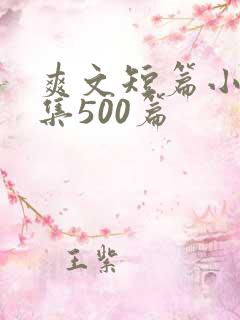 爽文短篇小说合集500篇