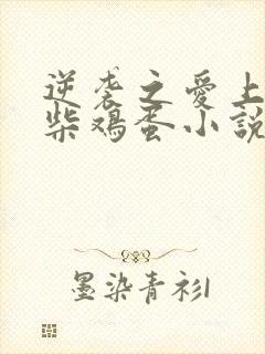 逆袭之爱上情敌柴鸡蛋小说免费阅读