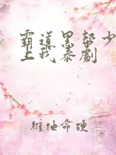 霸道黑帮少爷爱上我泰剧