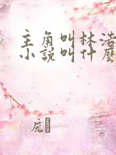 主角叫林浩然的小说叫什么