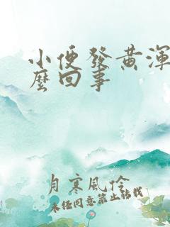 小便发黄浑浊怎么回事