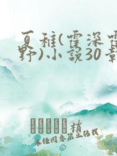 夏稚(霍深霍栖野)小说30章