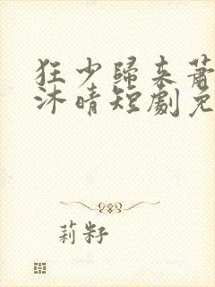 狂少归来萧远李沐晴短剧免费观看