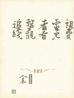 追击者电视剧在线观看免费高清