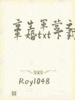 重生军营之王牌军婚txt下载