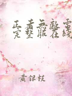 正者无敌电视剧完整版在线观看