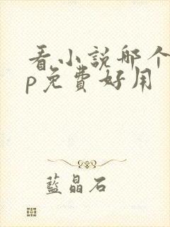 看小说哪个app免费好用