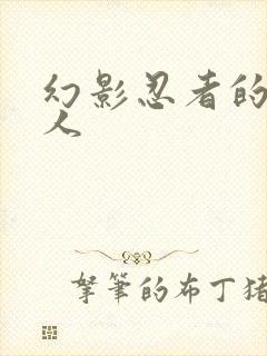 幻影忍者的积木人