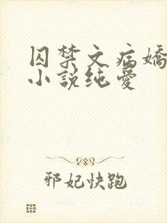 囚禁文病娇偏执小说纯爱