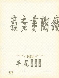 宋之意谢庭言小说免费阅读最新章节