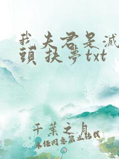 我夫君是灭世魔头 扶梦txt