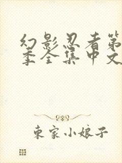 幻影忍者第10季全集中文版