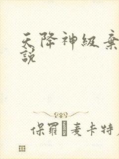 天降神级弃少小说