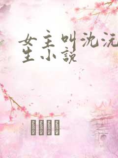 女主叫沈沅的重生小说