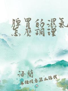 脾胃的湿气重了怎么调理