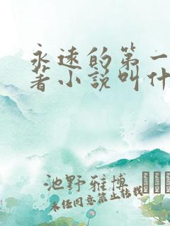 永远的第一名原著小说叫什么