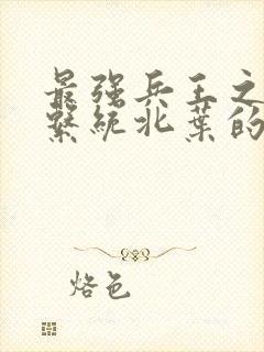 最强兵王之神级系统北叶的小说