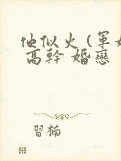 他似火 (军婚 高干 婚恋