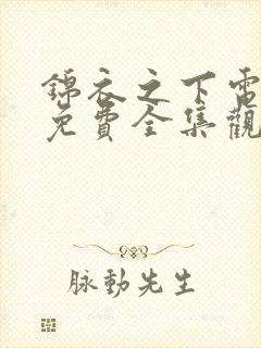 锦衣之下电视剧免费全集观看