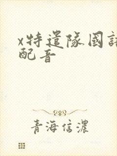 x特遣队国语版配音