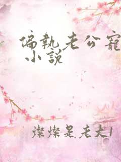 偏执老公宠上天 小说