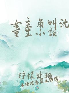 女主角叫沈离的重生小说