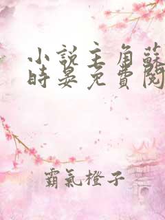 小说主角苏菀陆时晏免费阅读