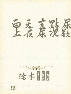 白天有点尿频晚上夜尿次数多