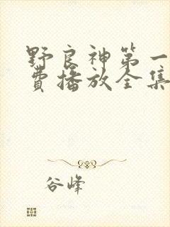 野良神第一季免费播放全集