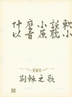 什么小说软件可以看原耽小说