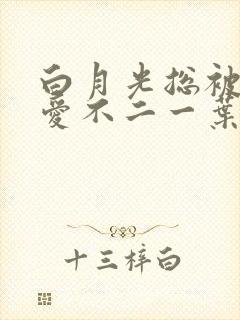 白月光总被男主爱不二一叶