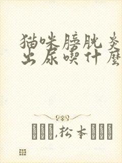 猫咪膀胱炎尿不出尿吃什么药